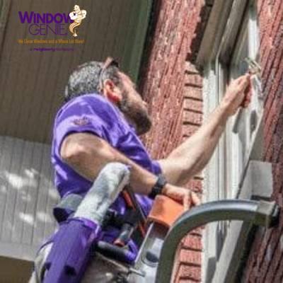 Window Genie Cleaning Franchise Opportunity