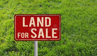 150 Acre Vacant Land Hearst