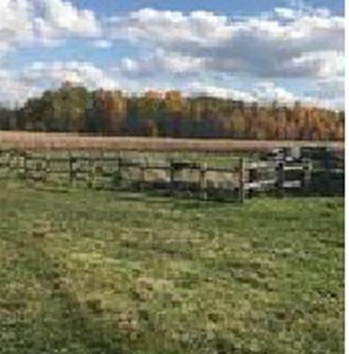 104 ACRES LAND FOR SALE IN INNISFIL