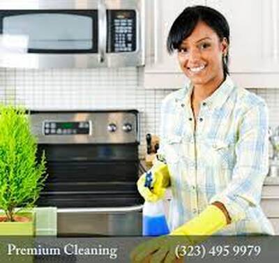 Premium Residential Cleaning Franchise Opportunity