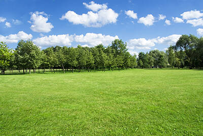 10 Acre Farm Land with Home for Sale near Markham