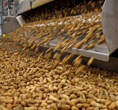 Peanut Roasting & Candy Distribution Business For Sale West of GTA