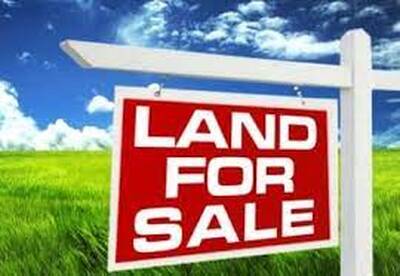 24 Acre Land with Residential Development Opportunity for Sale in Brampton