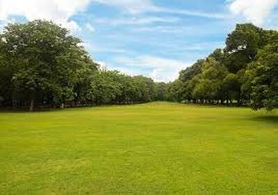 Land for Sale in King City