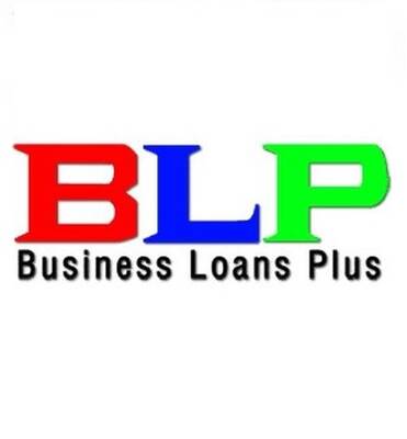 GOVERNMENT GUARANTEED BUSINESS LOANS - FINANCIAL SERVICES