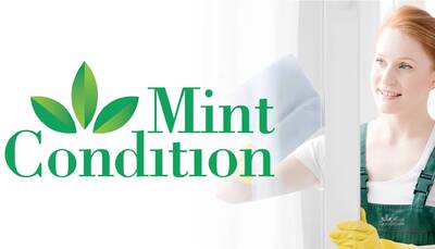 Mint Condition Franchise for Sale