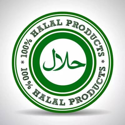 Halal Restaurant for Sale in Dallas County, TX
