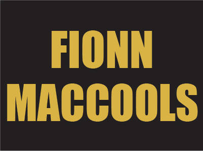 Kingston D.T. Fionn MacCool's- fantastic opportunity