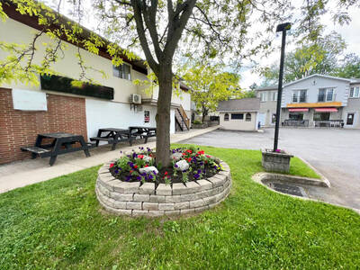 Mix Used Property in heart of Niagara with Excellent CAP Rate.